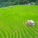 เร่งรัดจัดที่ดินทำกินให้กับเกษตรกร