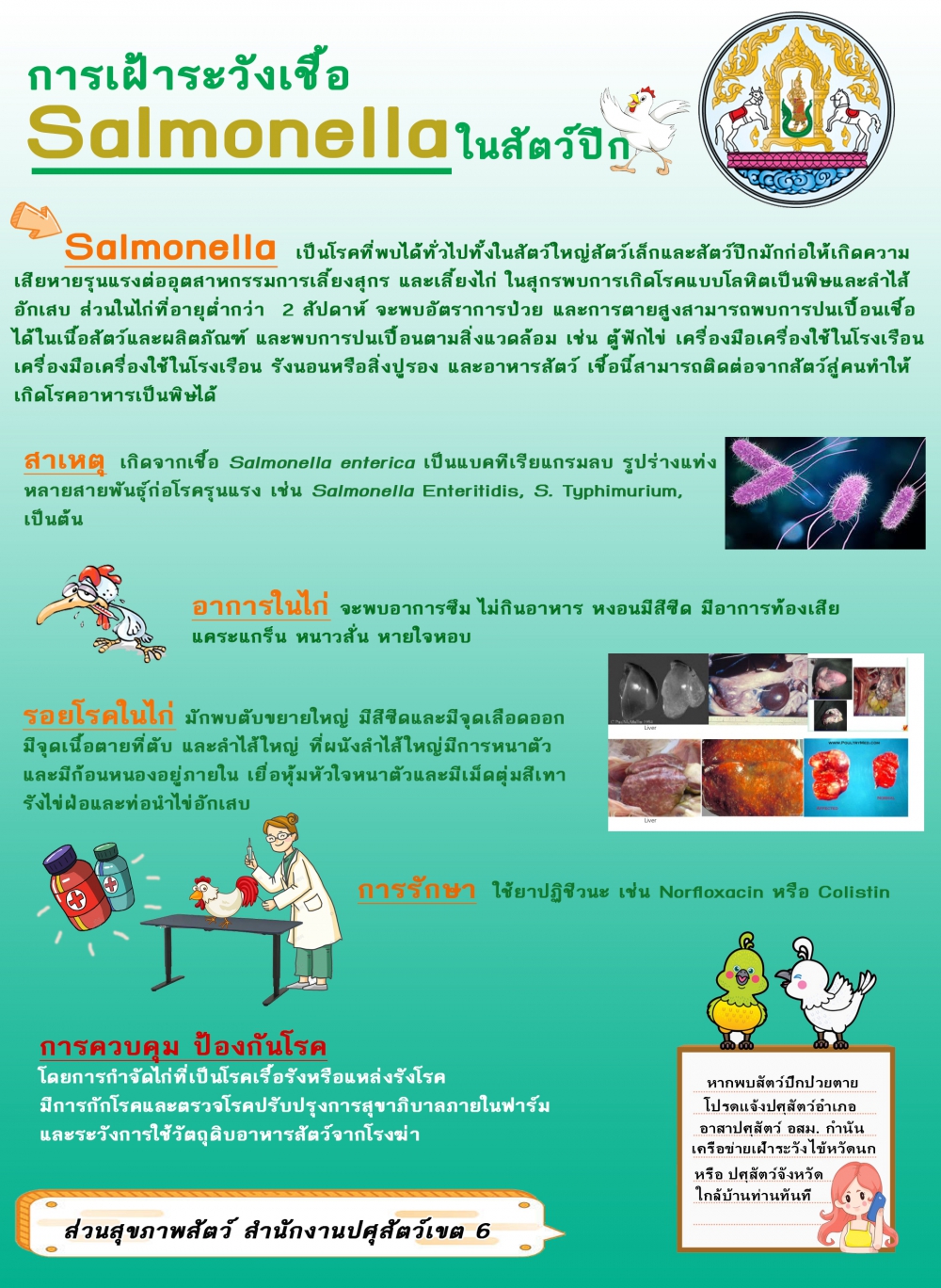 การเฝ้าระวังเชื้อ Salmonella ในสัตว์ปีก