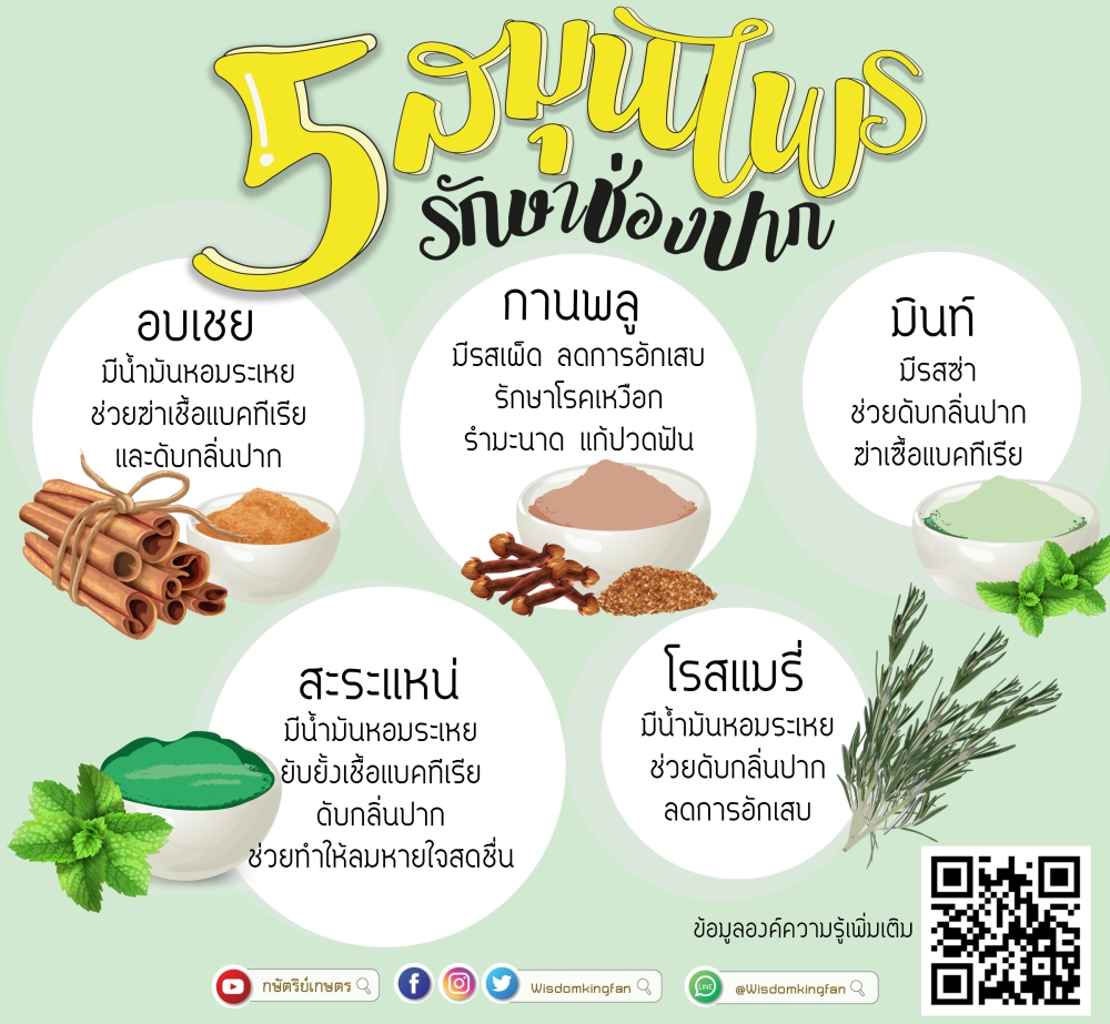 5 สมุนไพรรักษาช่องปาก