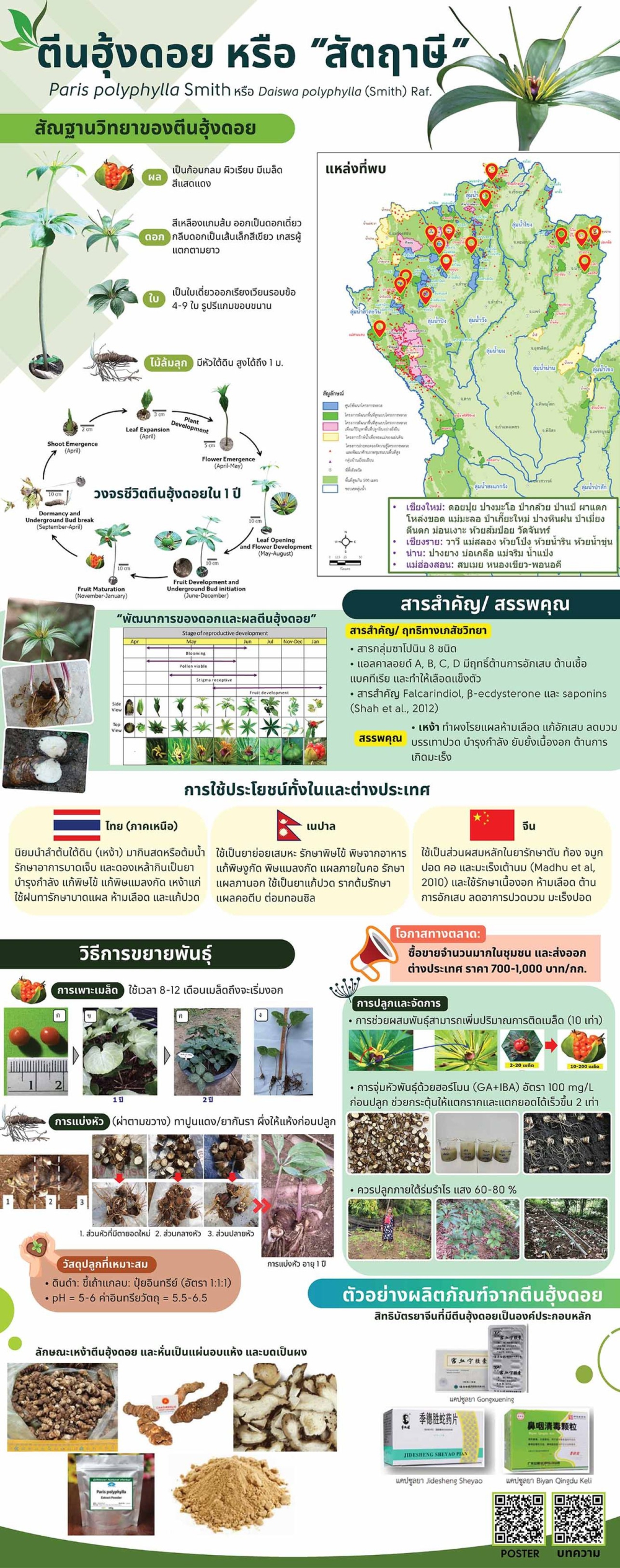 ตีนฮุ้งดอย หรือสัตฤาษี