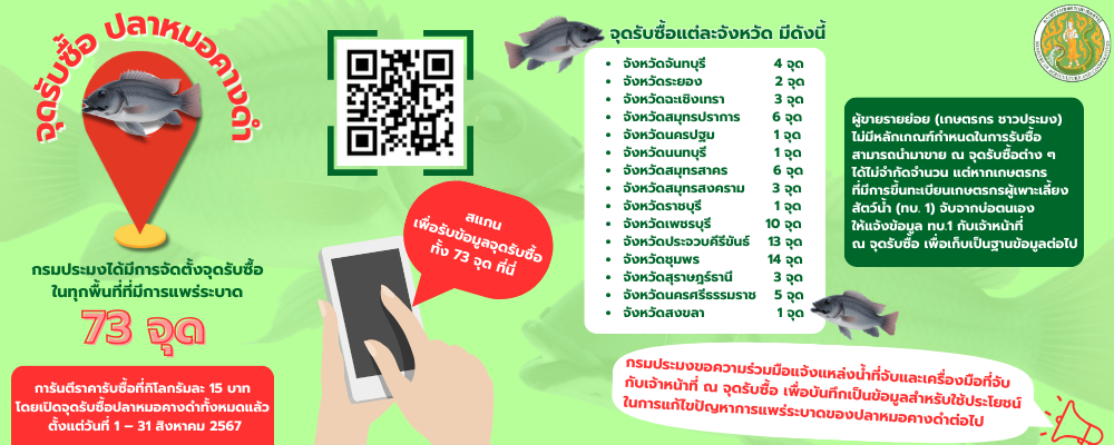 จุดรับซื้อปลาหมอคางดำ