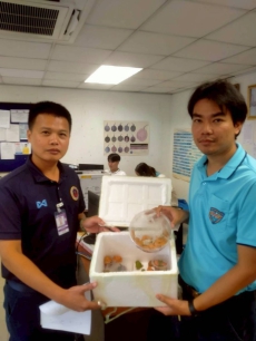 “ฉก.พญานาคราช”จับกุมการลักลอบส่งออกสัตว์น้ำเถื่อน