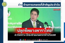 สรุปข่าวด้านการเกษตรที่สำคัญประจำวันที่ 3 ตุลาคม 2568