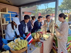 ไทยร่วมจัดแสดงนิทรรศการในงาน
