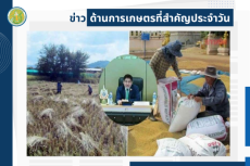 สรุปข่าวด้านการเกษตรที่สำคัญประจำวันที่ 23-24 ตุลาคม 2568