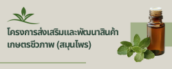 โครงการส่งเสริมและพัฒนาสินค้าเกษตรชีวภาพ (สมุนไพร)