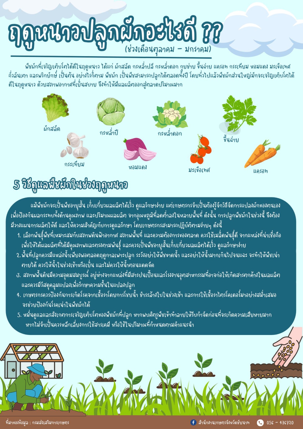 ฤดูหนาวปลูกผักอะไรดี ?