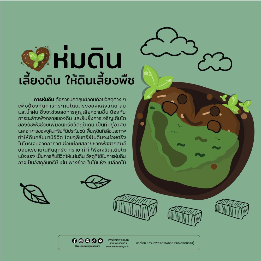 ห่มดิน เลี้ยงดินให้พืช