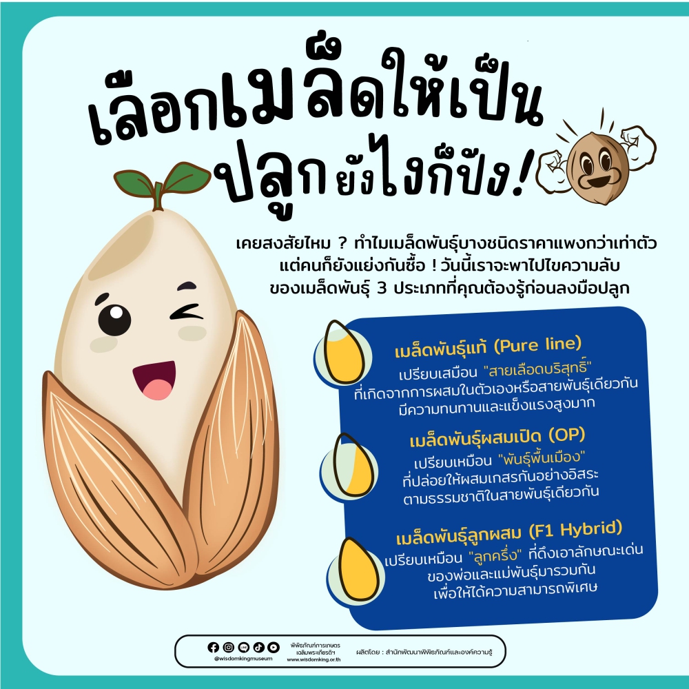 เลือกเมล็ดให้เป็น ปลูกยังไงก็ปัง