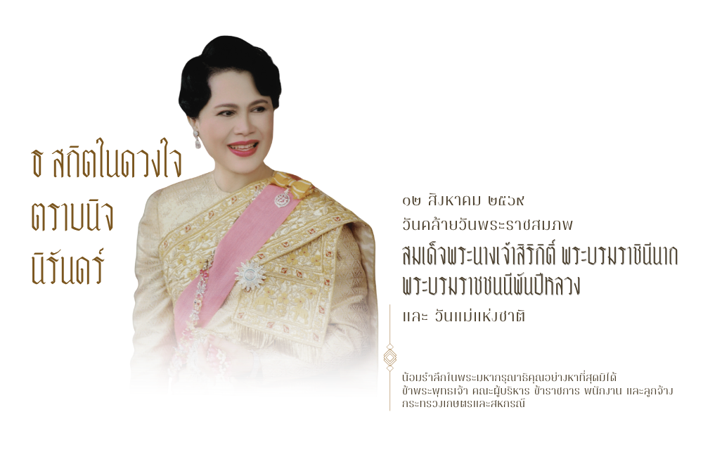 12 สิงหาคม 2569