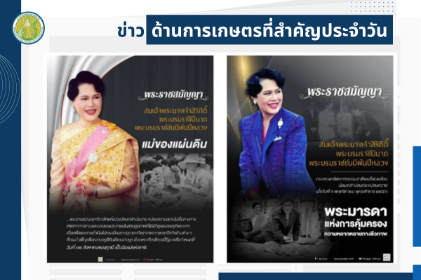 สรุปข่าวด้านการเกษตรที่สำคัญประจำวันที่