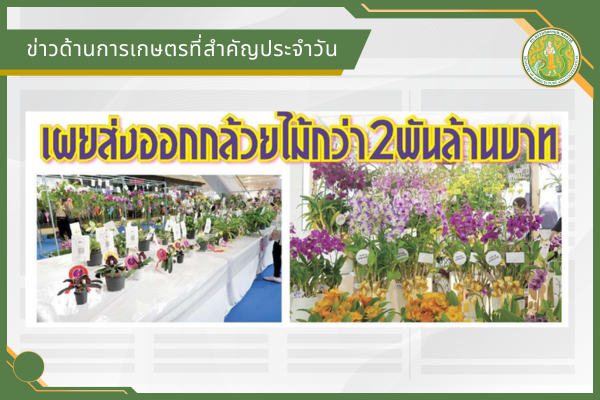สรุปข่าวด้านการเกษตรที่สำคัญประจำวันที่ 21 มกราคม 2569