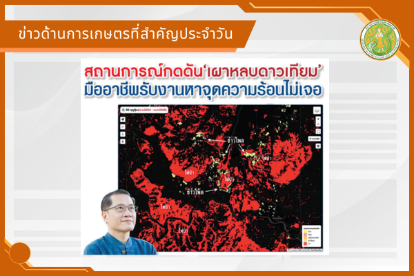 สรุปข่าวด้านการเกษตรที่สำคัญประจำวันที่