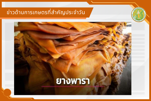 สรุปข่าวด้านการเกษตรที่สำคัญประจำวันที่