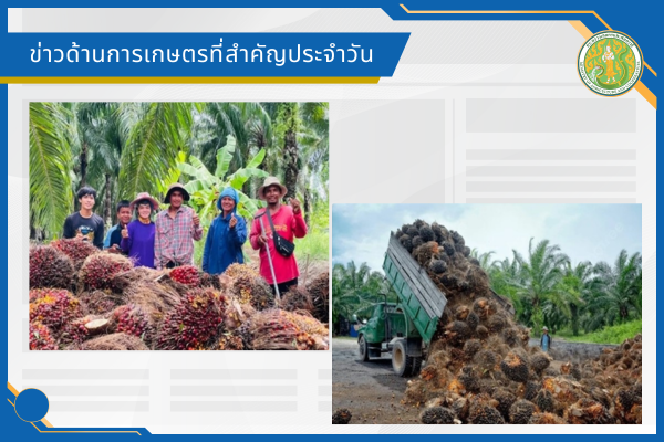 สรุปข่าวด้านการเกษตรที่สำคัญประจำวันที่ 13 มีนาคม 2569