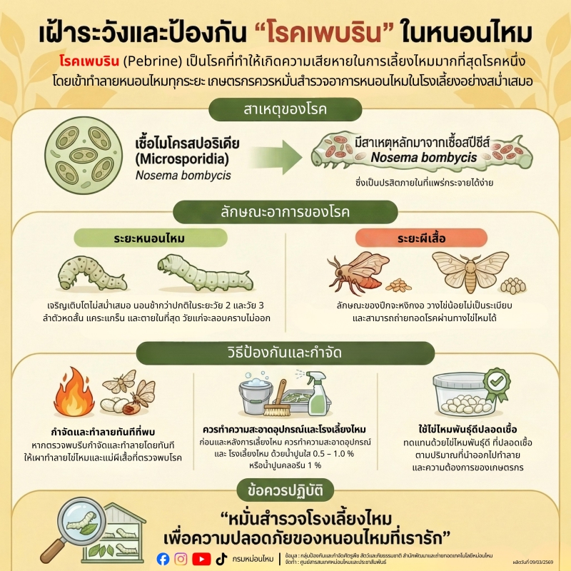 การเตือนเกษตรกรผู้เลี้ยงไหม
