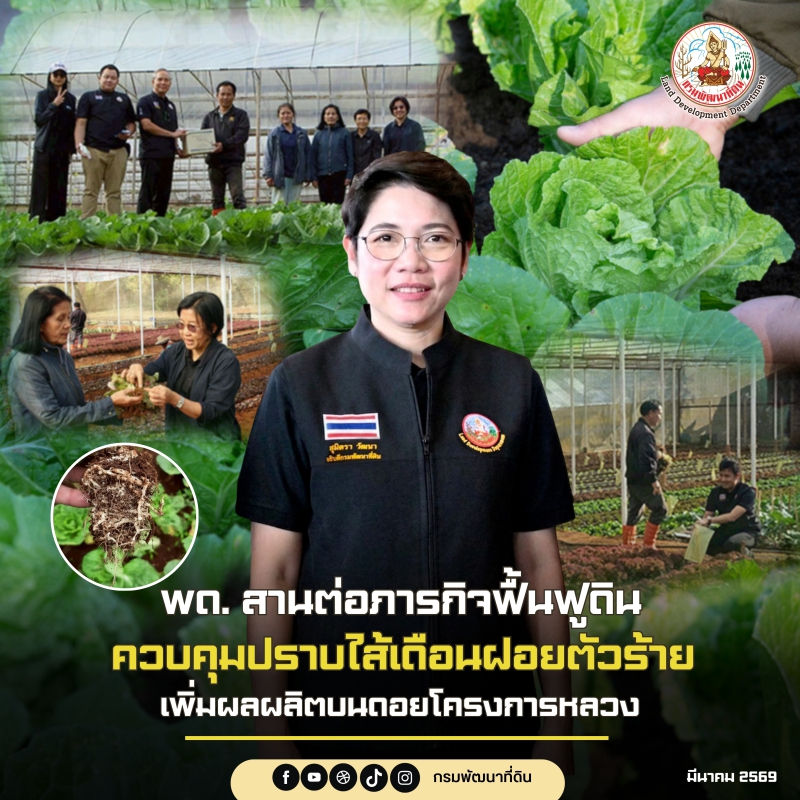 พด. สานต่อภารกิจฟื้นฟูดิน ควบคุมปราบไส้เดือนฝอยตัวร้าย เพิ่มผลผลิตบนดอยโครงการหลวง