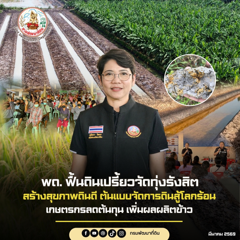 กรมพัฒนาที่ดิน ฟื้นดินเปรี้ยวจัดทุ่งรังสิต สร้างสุขภาพดินดี ต้นแบบจัดการดินสู้โลกร้อน เกษตรกรเพิ่มผลผลิตข้าว