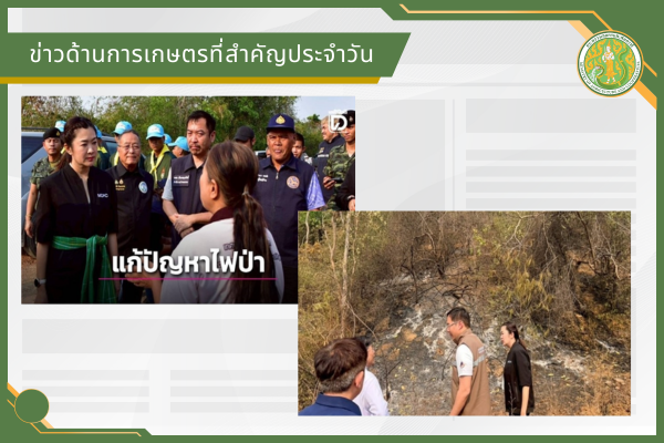 สรุปข่าวด้านการเกษตรที่สำคัญประจำวันที่ 22 เมษายน 2569