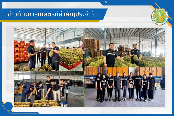 สรุปข่าวด้านการเกษตรที่สำคัญประจำวันที่ 24 เมษายน 2569