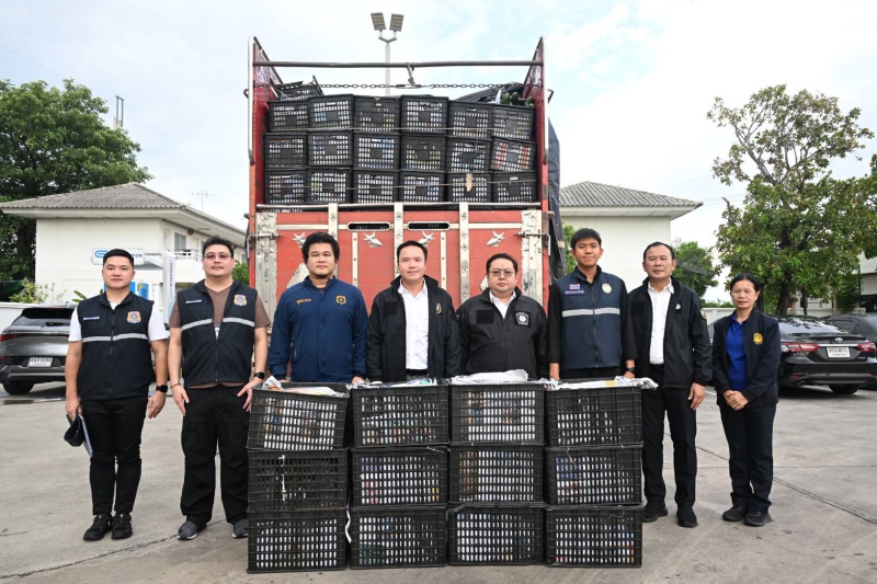 รองผู้บัญชาการฯ ศพร. นำทีมเจ้าหน้าที่จับสินค้าปศุสัตว์เถื่อนกว่า 8 ตัน และอะโวคาโด 600 ตะกร้า ในพื้นที่จังหวัดปทุมธานี ส่งดำเนินคดียุติวงจรลักลอบนำเข้าสินค้าเถื่อน
