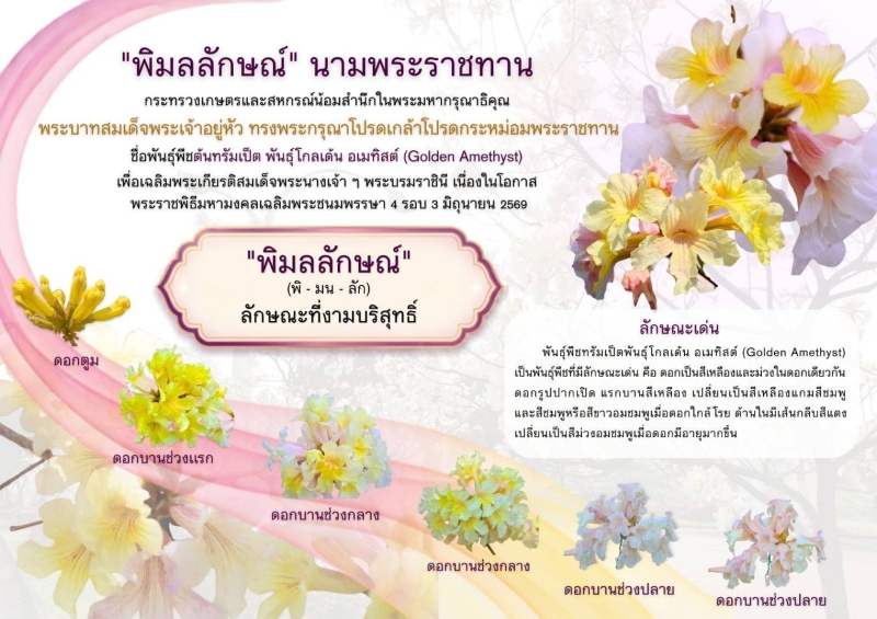 ในหลวงพระราชทานนามพรรณไม้ใหม่