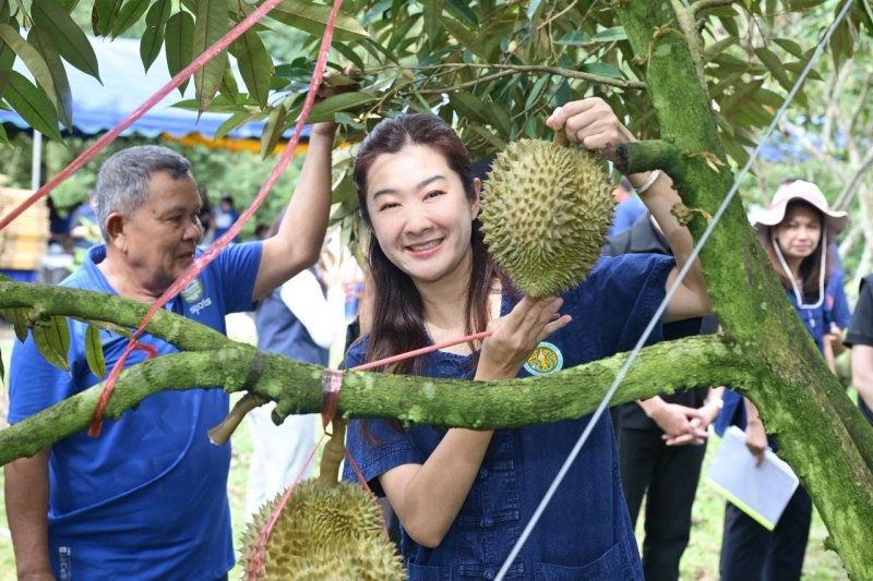 รมช.ปิยะรัฐชย์ เปิดงาน “เทศกาลเปิดสวนทุเรียนนางนอน” จ.เชียงราย ชวนเลือกซื้อ - ชิมทุเรียนคุณภาพจากสวน...