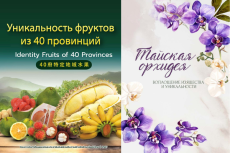 ขอเผยแพร่และประชาสัมพันธ์เอกสาร