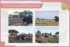 สรุปข่าวด้านการเกษตรที่สำคัญประจำวันที่