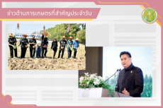 สรุปข่าวด้านการเกษตรที่สำคัญประจำวันที่