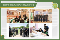สรุปข่าวด้านการเกษตรที่สำคัญประจำวันที่