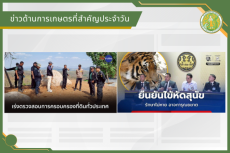 สรุปข่าวด้านการเกษตรที่สำคัญประจำวันที่