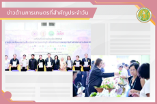 สรุปข่าวด้านการเกษตรที่สำคัญประจำวันที่ 31 มีนาคม 2569