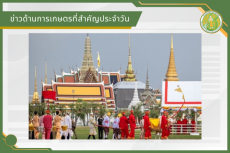 สรุปข่าวด้านการเกษตรที่สำคัญประจำวันที่ 8 เมษายน 2569