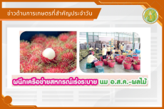 สรุปข่าวด้านการเกษตรที่สำคัญประจำวันที่ 30 เมษายน 2569