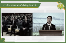 สรุปข่าวด้านการเกษตรที่สำคัญประจำวันที่ 24 มิถุนายน 2569