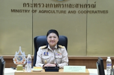รองปลัดนฤมลเป็นประธานการประชุมคณะทำงานดำเนินการจัดพิธีประกาศเกียรติคุณผู้เกษียณอายุราชการของสำนักงานปลัดกระทรวงเกษตรและสหกรณ์